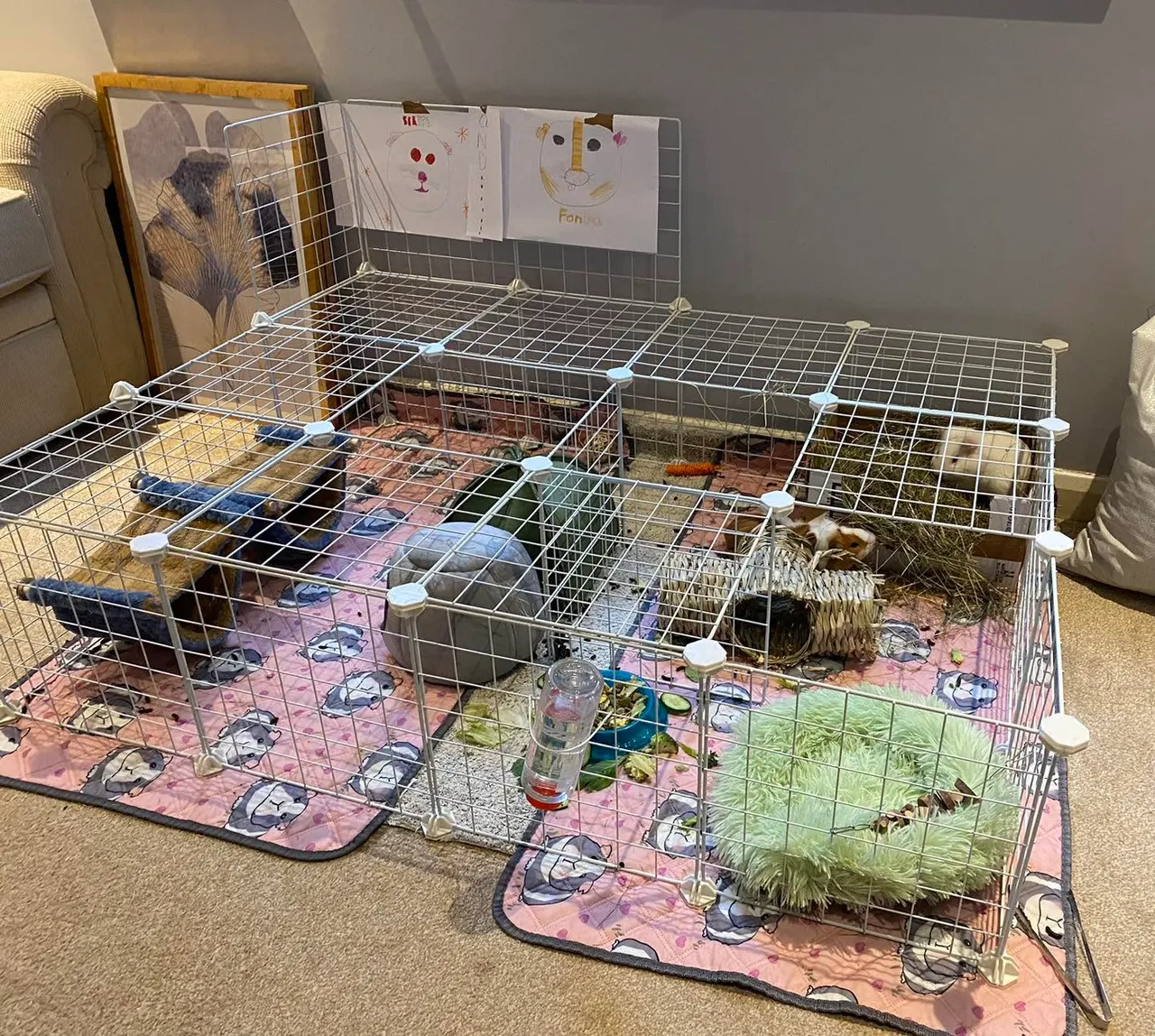 DIY cage built from white storage-cube grids with a grid lid, on a washable pad, with hides, hay box and water bottle