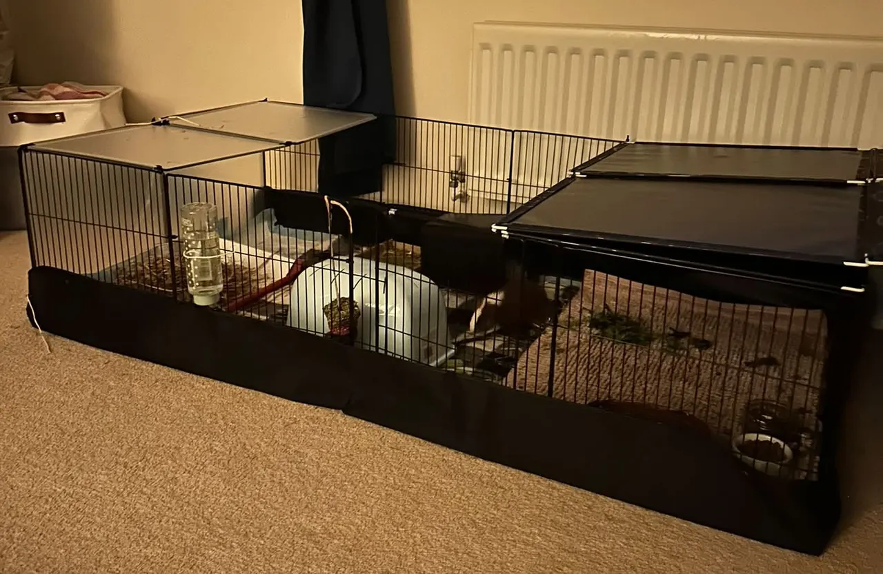 Long black-grid cage on carpet with partly covered ends, placed below a window close to a wall radiator